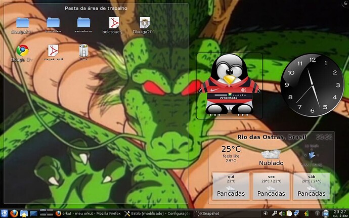 imagem14