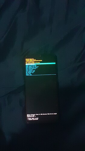 17351668099788306937980919487091